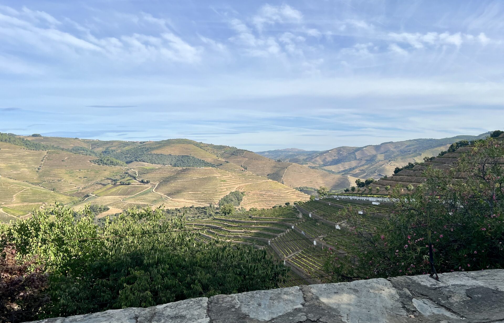 Porto – from the city to the slopes – Insider Tasting