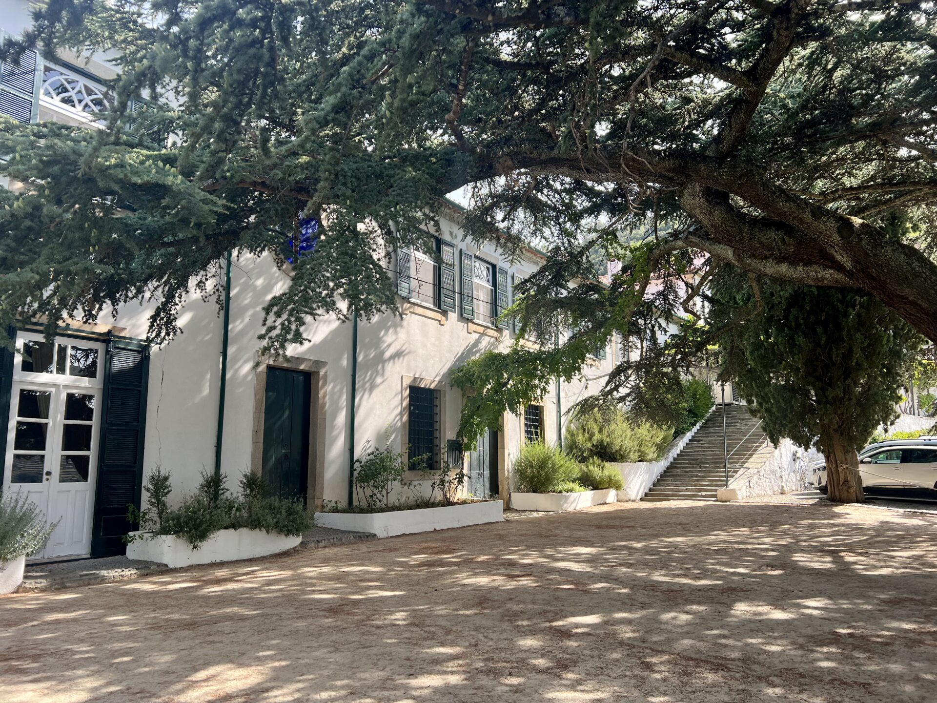 Porto – from the city to the slopes – Insider Tasting