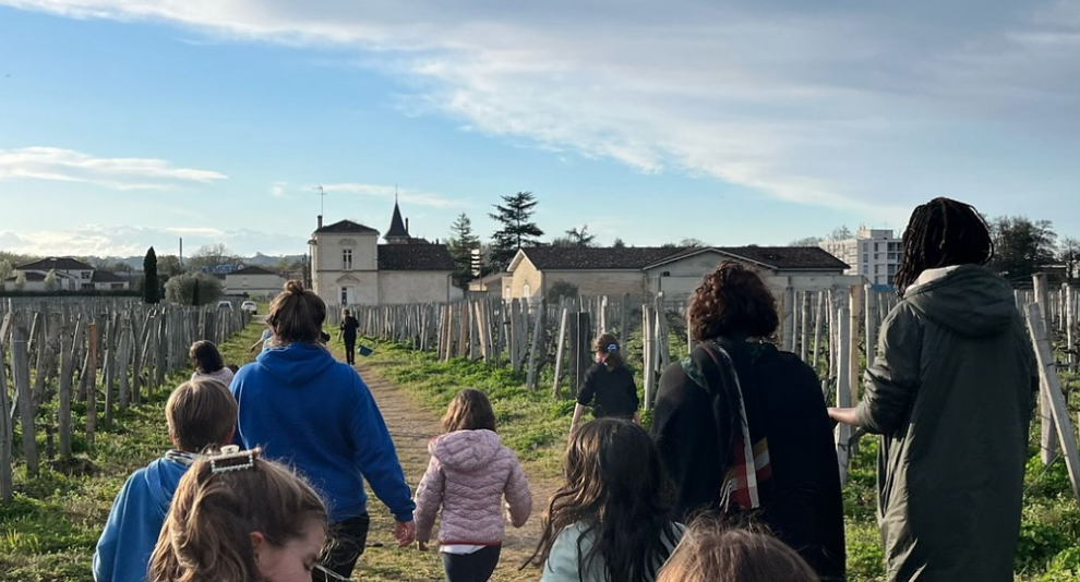 Sharing the biodiversity of Château Fayat with local school children